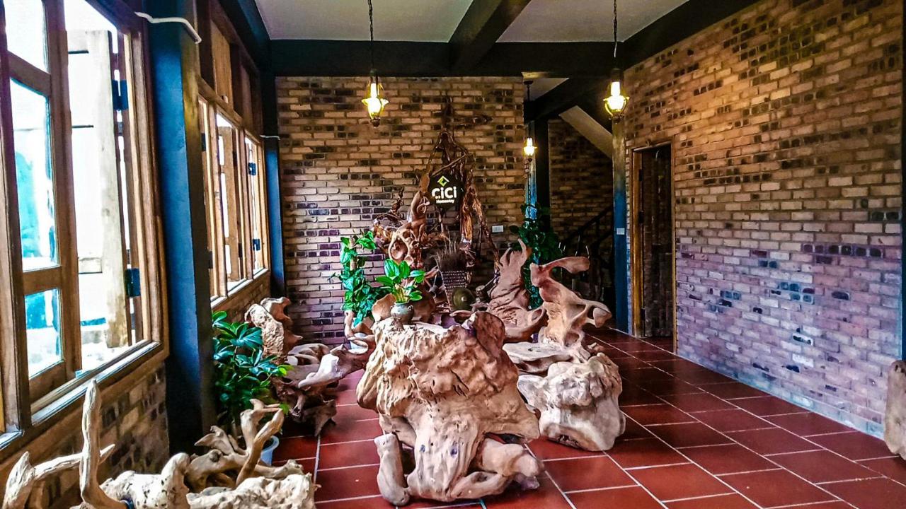 Cici Homestay Dong Van Eksteriør billede